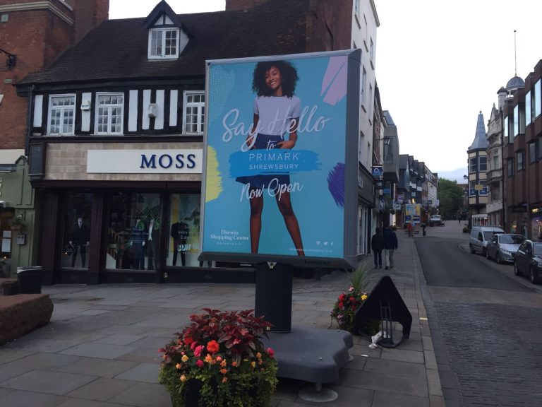 Trotter medium portrait