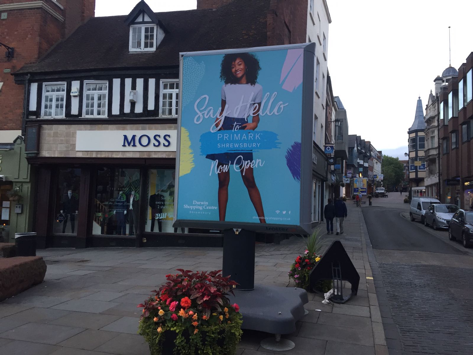 Trotter medium portrait