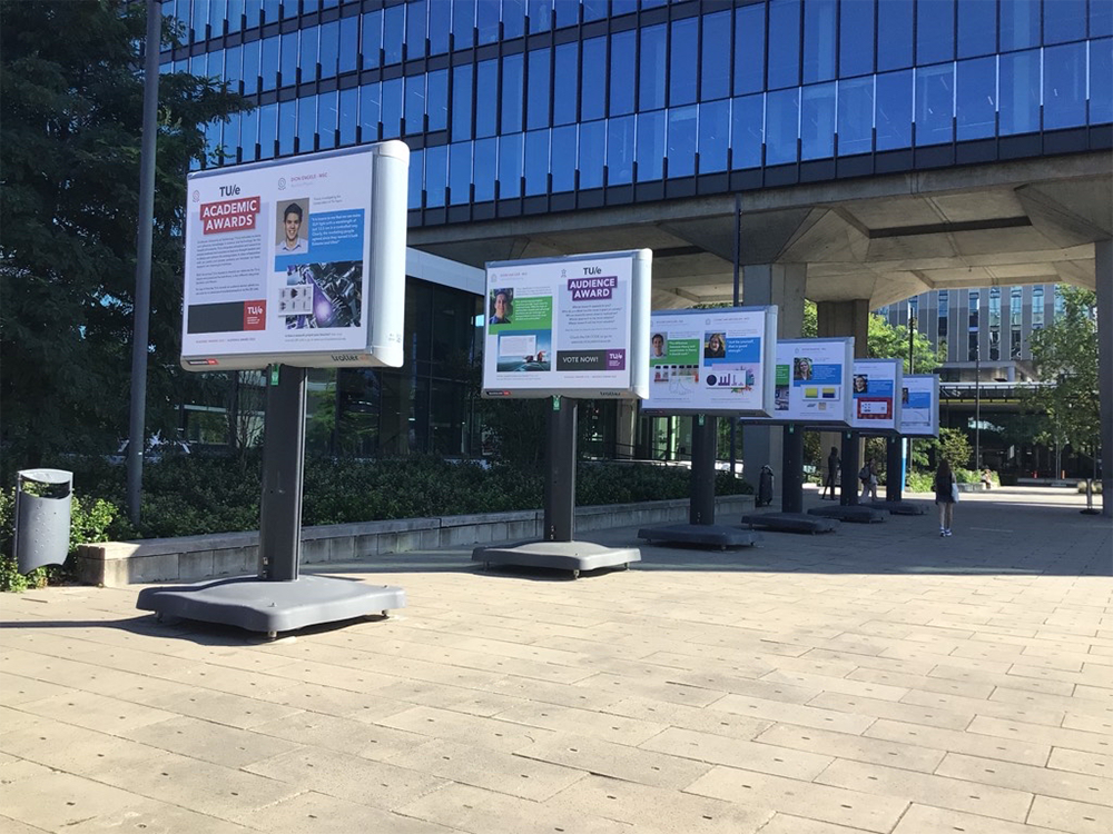 Trotter medium landscape